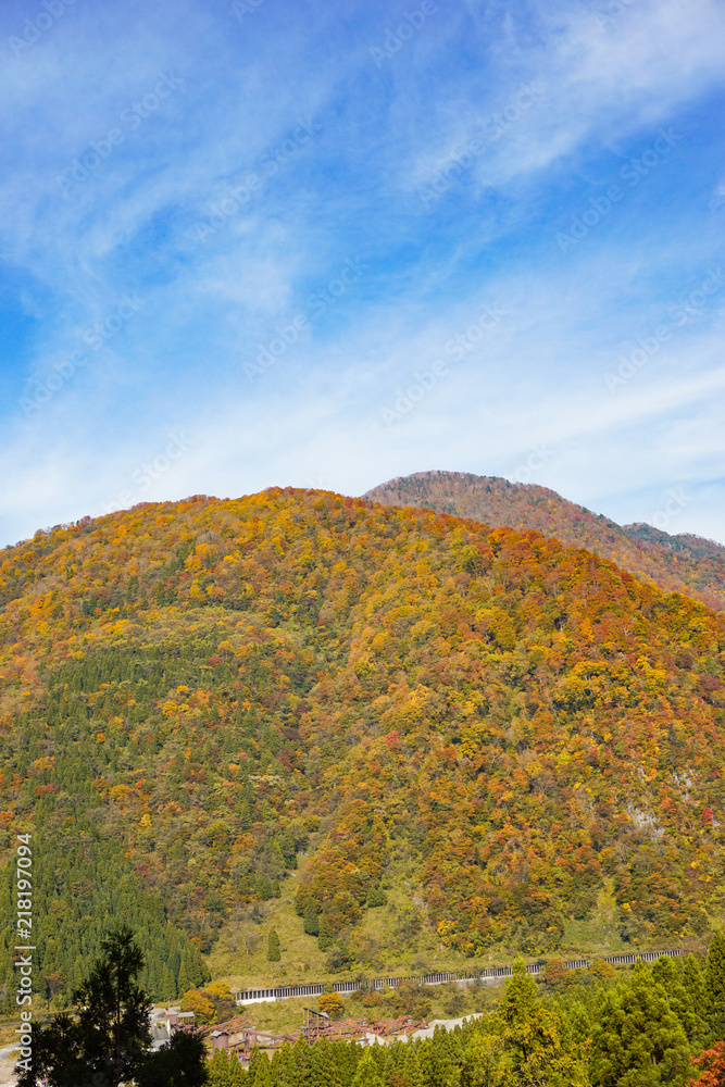 Autumn leaves of the mountains.  山々の紅葉　日本　富山県立山町　立山駅、称名滝周辺