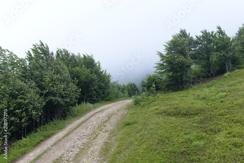 Summer Carpathian Mountains