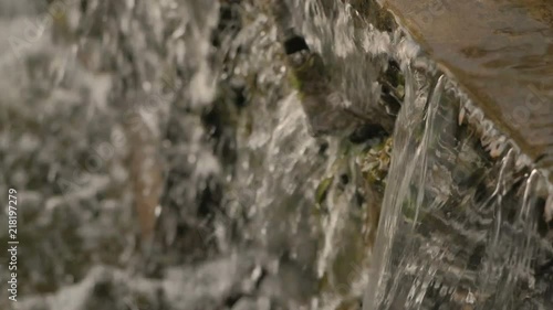 Floating water in an artificial pond in a city park photo