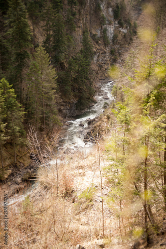 Wildbach im Hebrstwald. photo