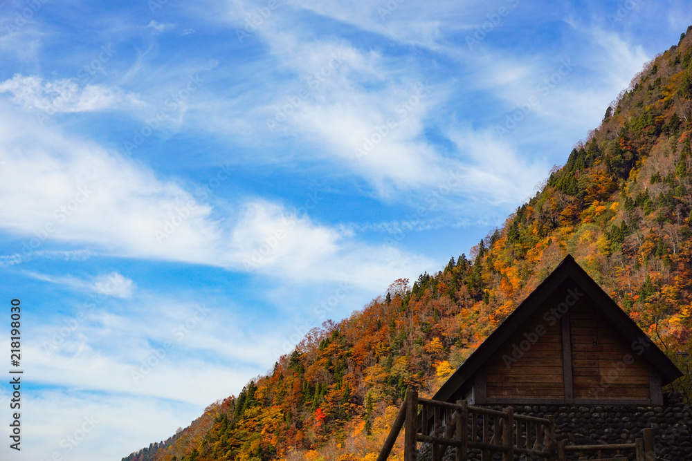 Fototapeta premium Autumn leaves of the mountains. 山々の紅葉 日本 富山県立山町 立山駅、称名滝周辺