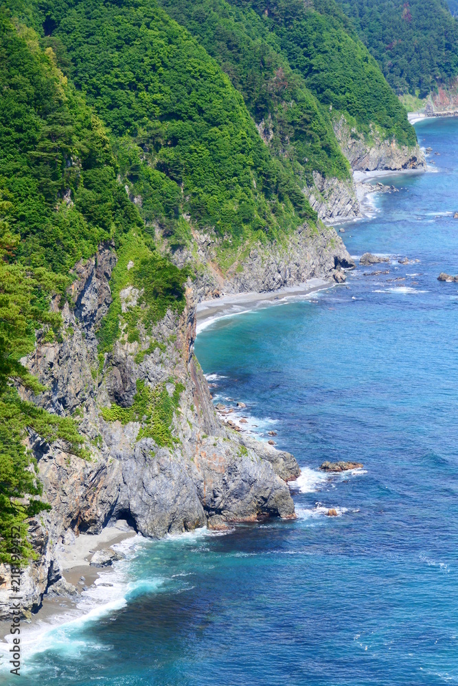 鵜の巣断崖、三陸復興国立公園。田野畑　岩手　日本。７月中旬。