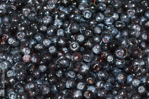 Foto blueberry, bilberry, Huckleberry, whortleberry, blaeberry, blackberry, berry, fr
