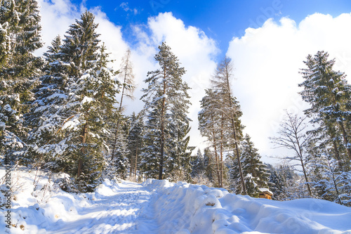 Winterwanderweg am Berg, Schnee und Bäume
