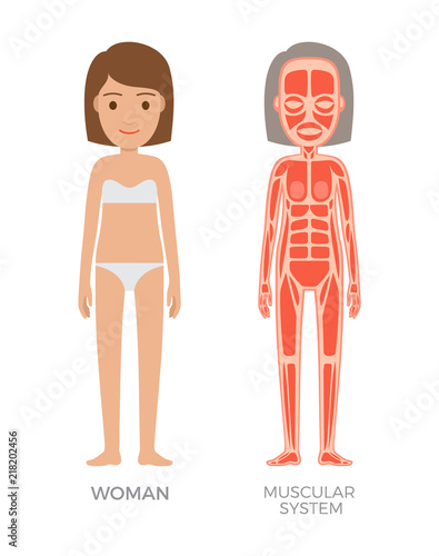 Muscular System of Young Woman Colorful Banner