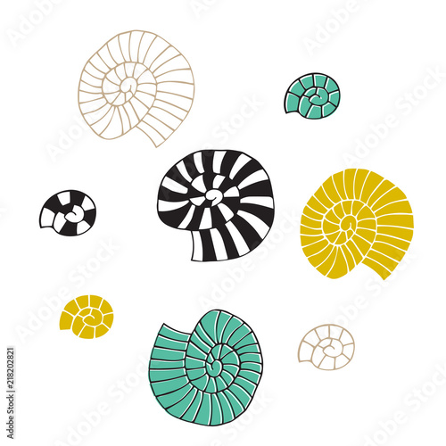 Vector hand drawn sea shells. Isolated individual objects.