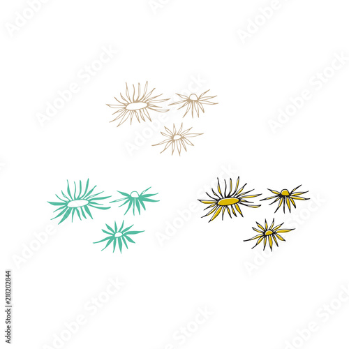 Vector hand drawn seaweeds. Isolated individual objects  algae.