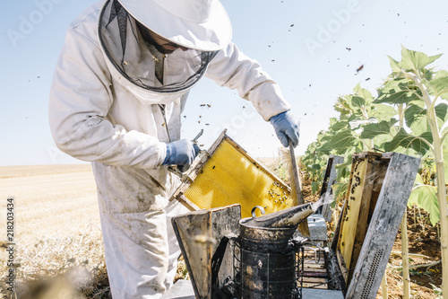 Beekeeper working collect honey photo