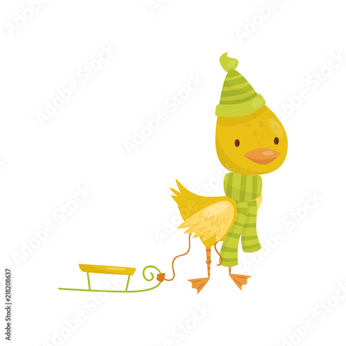Cute little yellow duckling character in green scarf and hat walking with sled vector Illustration on a white background