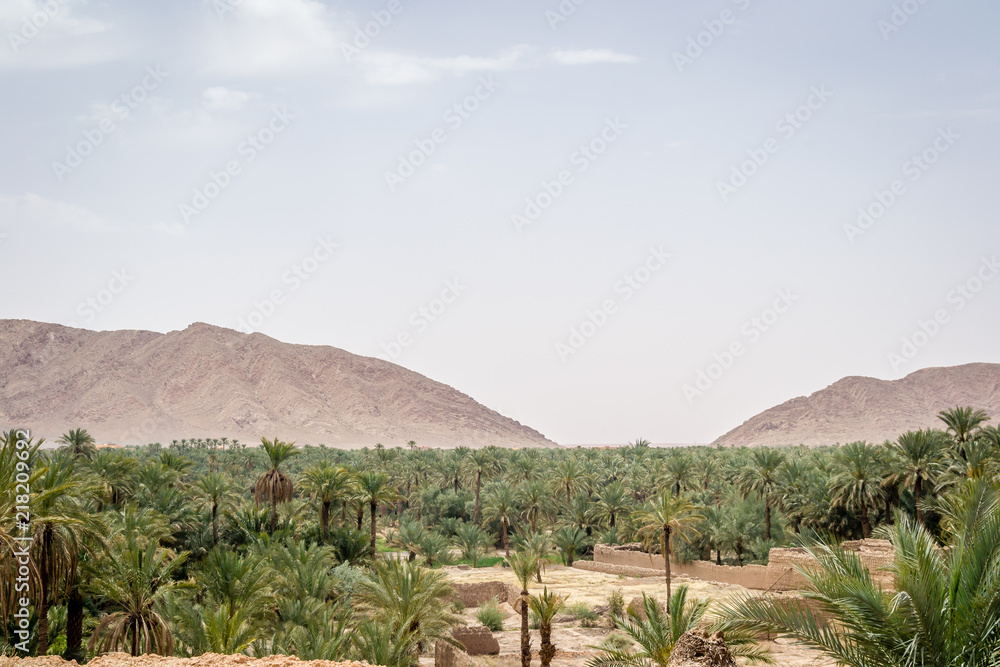 Fototapeta premium Desert of figuig