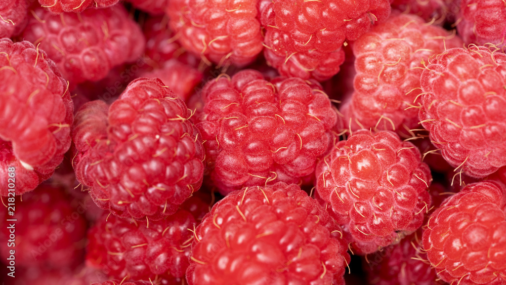 Close up of ripe garden raspberries Close up of ripe garden raspberries