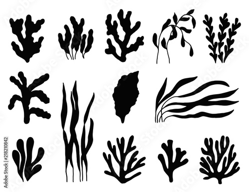 seaweed silhouette isolated. Marine plants on white background set.