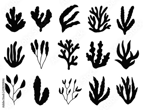 seaweed silhouette isolated. Marine plants on white background. set of objects