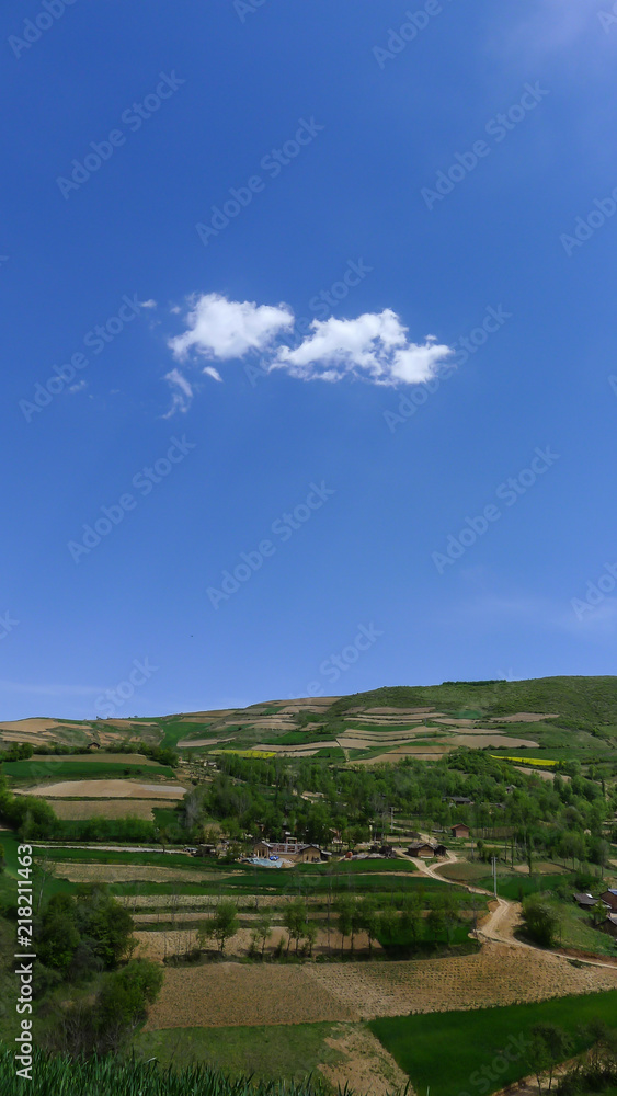 A Large Area of Terraces and Rows of Trees under Blue Sky
