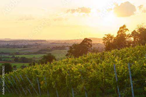 Weinberge in Winnenden