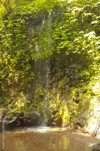 Fototapeta Naklejka Na Ścianę i Meble -  Natur pur Wasserfall in  Indonesien