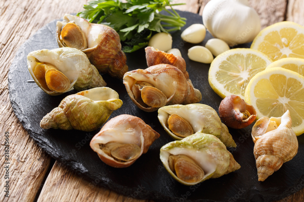 raw edible sea snails, whelks close-up and lemon, parsley, garlic on a slate board. horizontal
