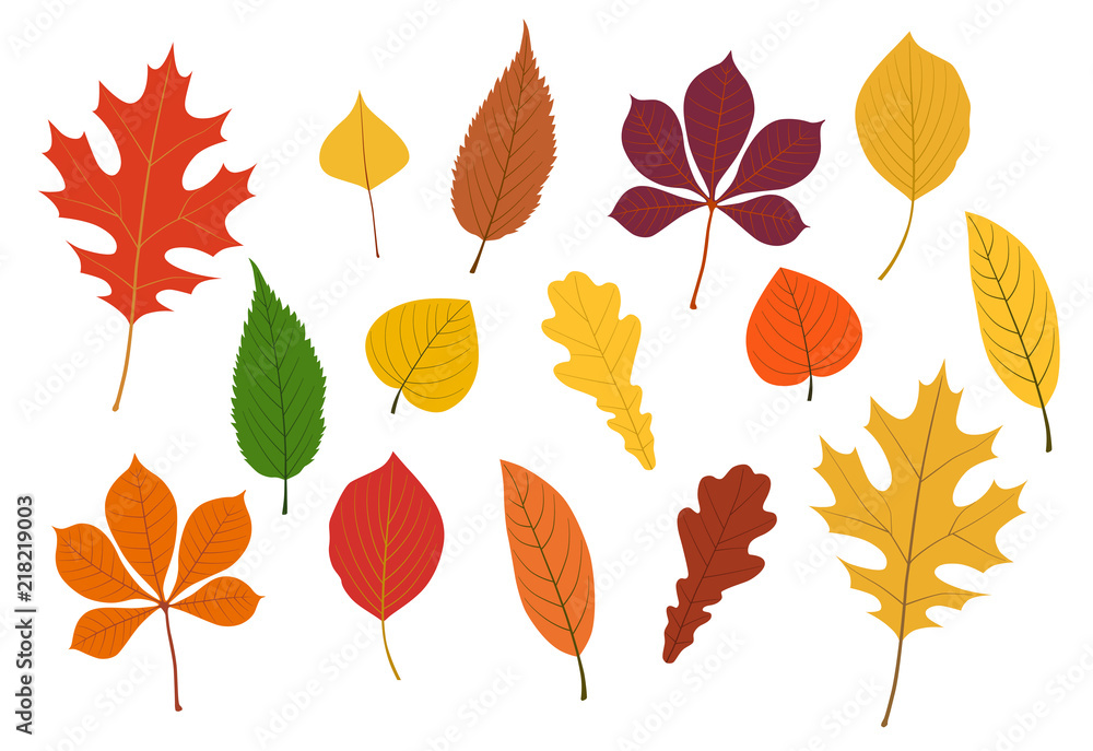 秋の紅葉イラストset 秋の紅葉イラストset