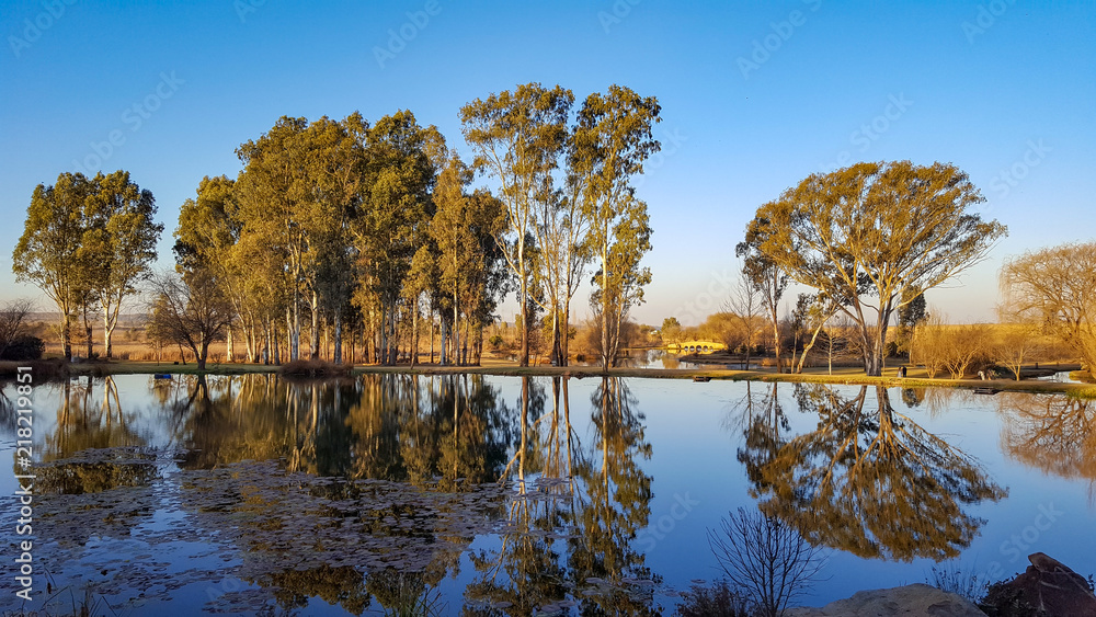Obraz premium Pond Reflection