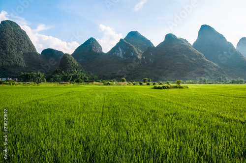 China Guilin Yangshuo Berge Reisfeld