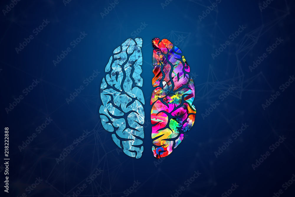 Illustration of a human brain, top view. Different halves of the human ...