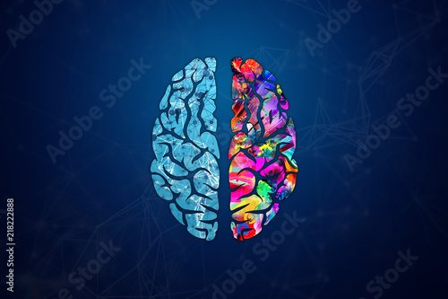 Illustration of a human brain, top view. Different halves of the human brain. The creative half and logical half of the human mind. photo