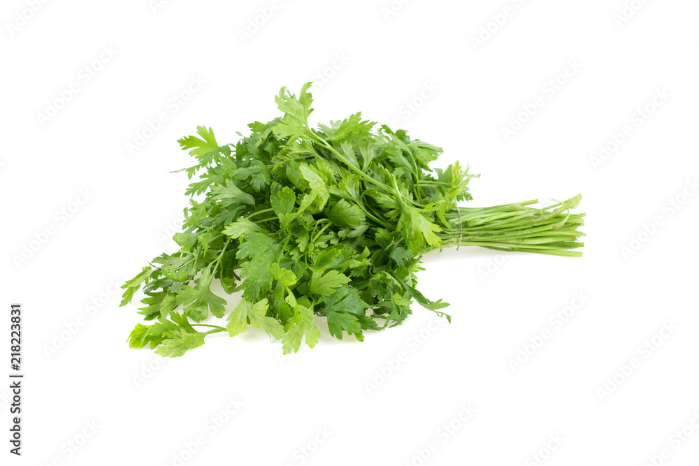 branch, bush parsley isolated on white background branch, bush parsley isolated on white background