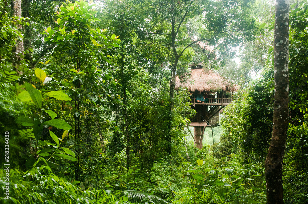 Naklejka premium Laos Dschungel Treehouse Baumhaus