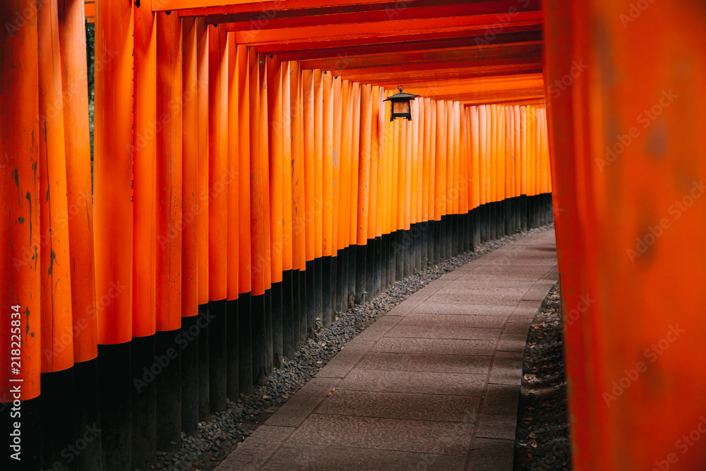 Fototapeta premium Pathway orii gates at Fushimi Inari Shrine at night and rain Kyoto, Japan.