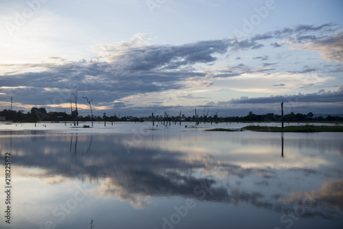 CAMBODIA ANLONG VENG TA MOK LAKE LANDSCAPE photo