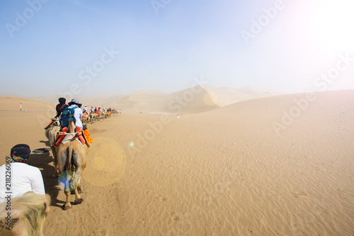 Tourists ride Camel over Sunshine Summer Desert