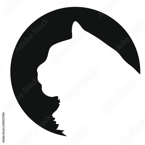 Maine Coon Cat Icon