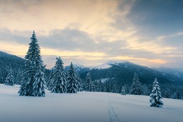 Fototapete Jahreszeiten Orangefarbenes Winterleuchten in den Karpaten  © Ivan Kmit