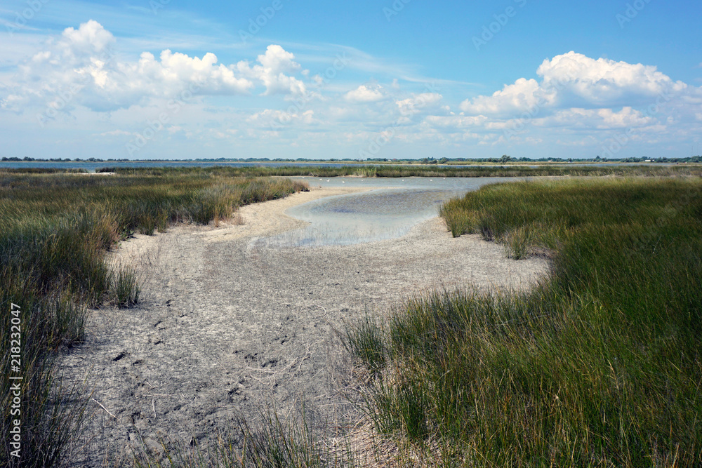 Salt and dry lake landscape with plants and cloudy blue sky . Peace and harmony with nature while no human around. Travel concept Salt and dry lake landscape with plants and cloudy blue sky . Peace and harmony with nature while no human around. Travel concept