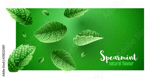 Fresh green mint leaves on banner design with copyspace. Main