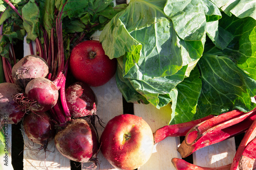 Fresh vegetables and fruits from the garden, yields