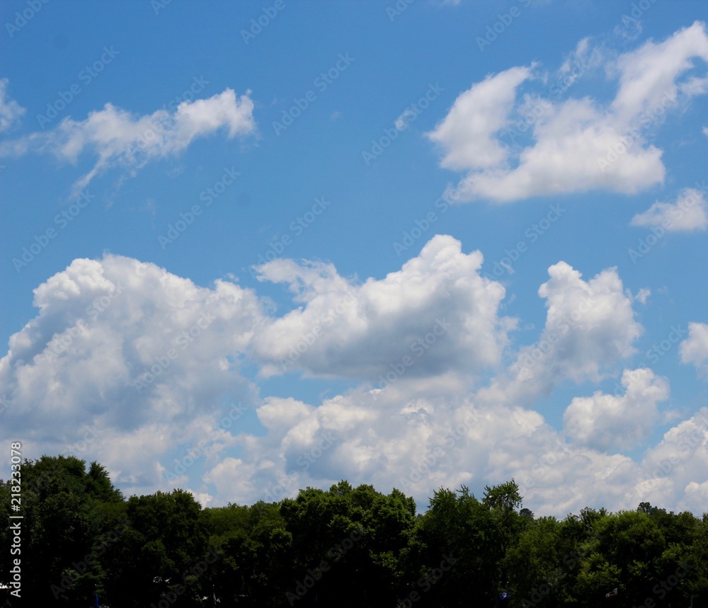 The fluffy white clouds over the tree line on a sunny day. 