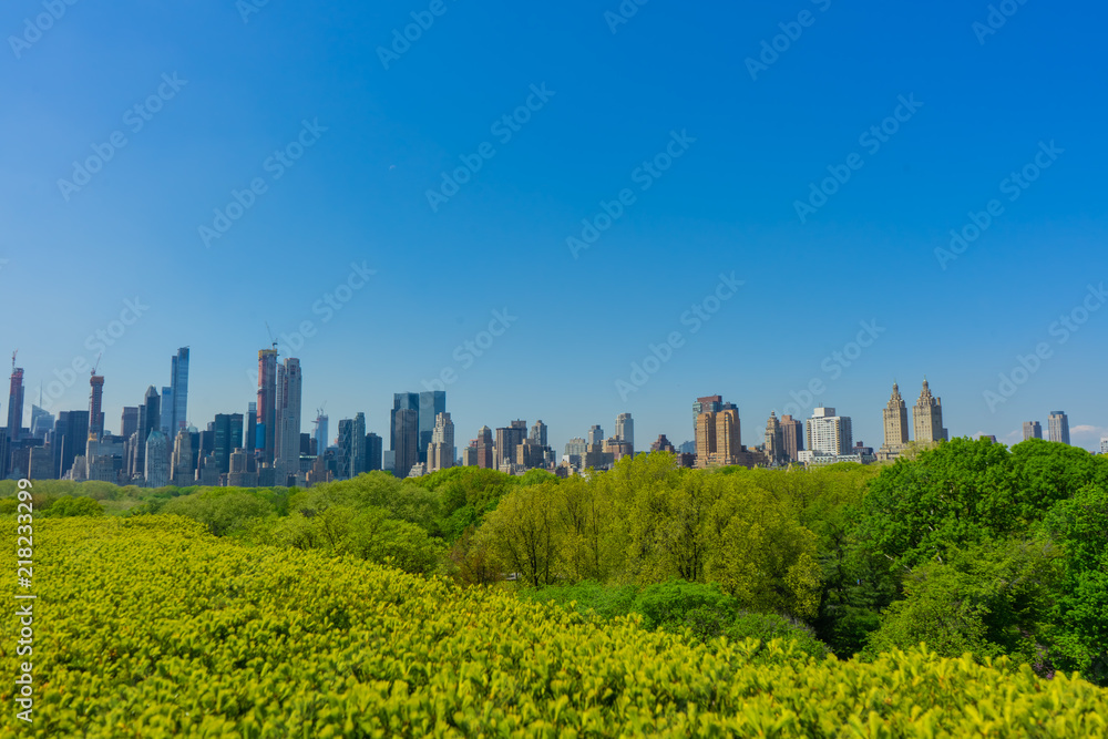View of Midtown Manhattan from Central Park View of Midtown Manhattan from Central Park