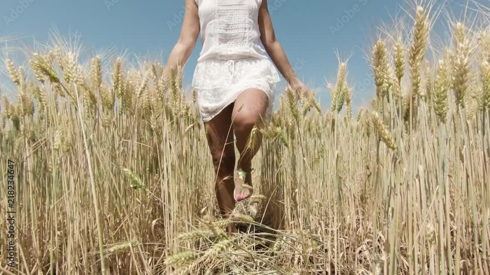 Beautiful carefree woman in golden wheat meadow. Model girl in white dress enjoying nature on the wheat field in sunny day. Beautiful carefree woman in golden wheat meadow. Model girl in white dress enjoying nature on the wheat field in sunny day.