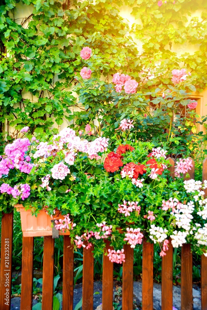 Sommer Grußkarte - Blumen im Garten Sommer Grußkarte - Blumen im Garten