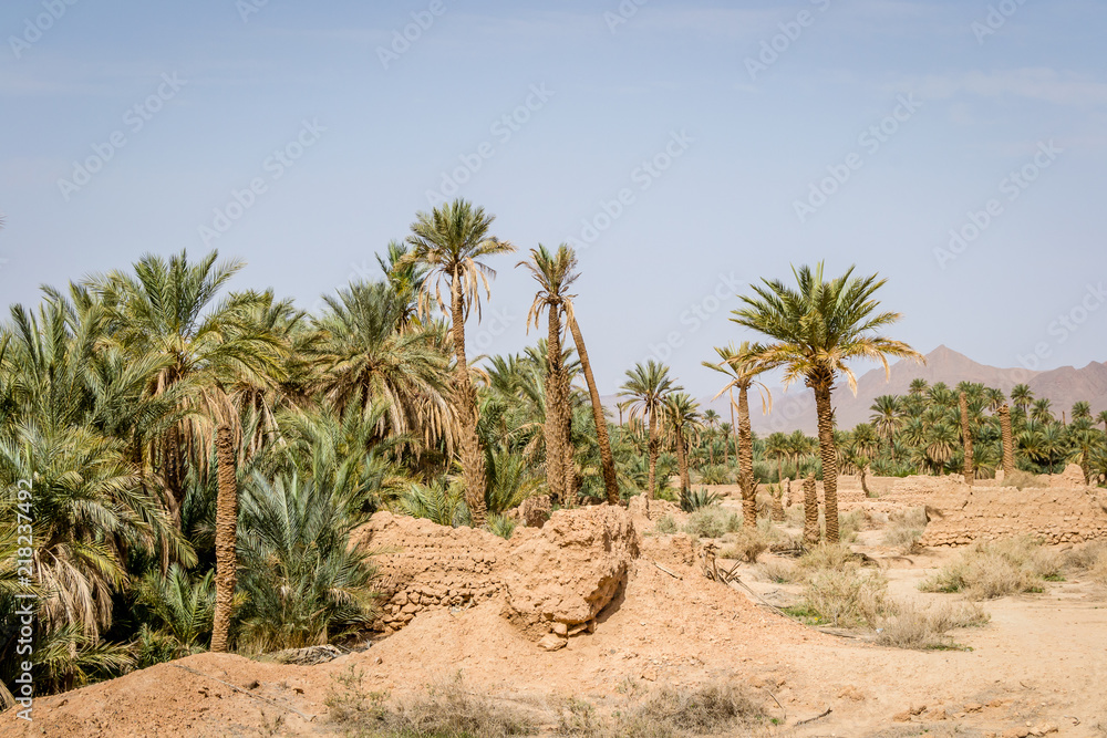 Desert of figuig