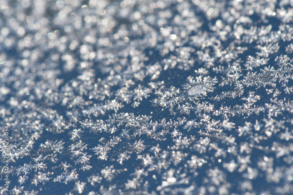 Obraz premium frost crystals