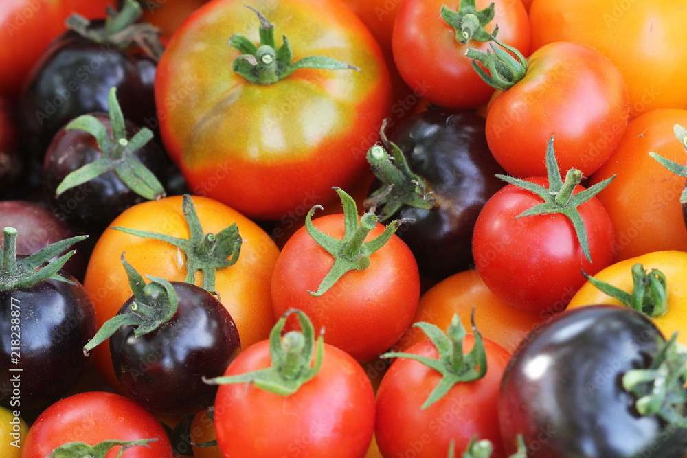 Heirloom variety tomatoes on rustic table. Colorful tomato - red,yellow , black, orange. Harvest vegetable cooking conception Heirloom variety tomatoes on rustic table. Colorful tomato - red,yellow , black, orange. Harvest vegetable cooking conception