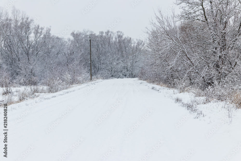 Obraz premium Snowy road during snowfall. Winter rural landscape