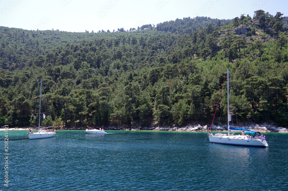 Boats In The Summer Boats In The Summer