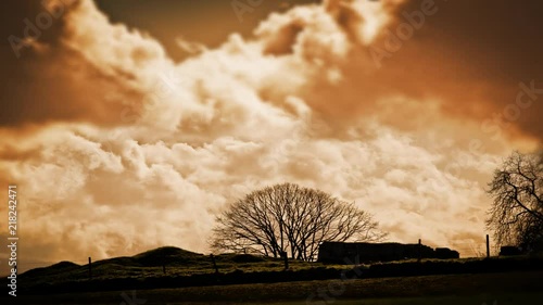 Battlefields of WW1 on the western front :  Ypres Salient landscape photo