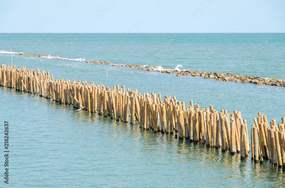 Breakwater. Bamboo poles and Rock using for break sea wave