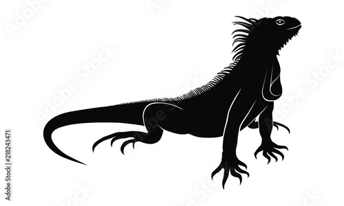 Iguana graphic icon. Iguana black sign isolated on white background. Vector illustration