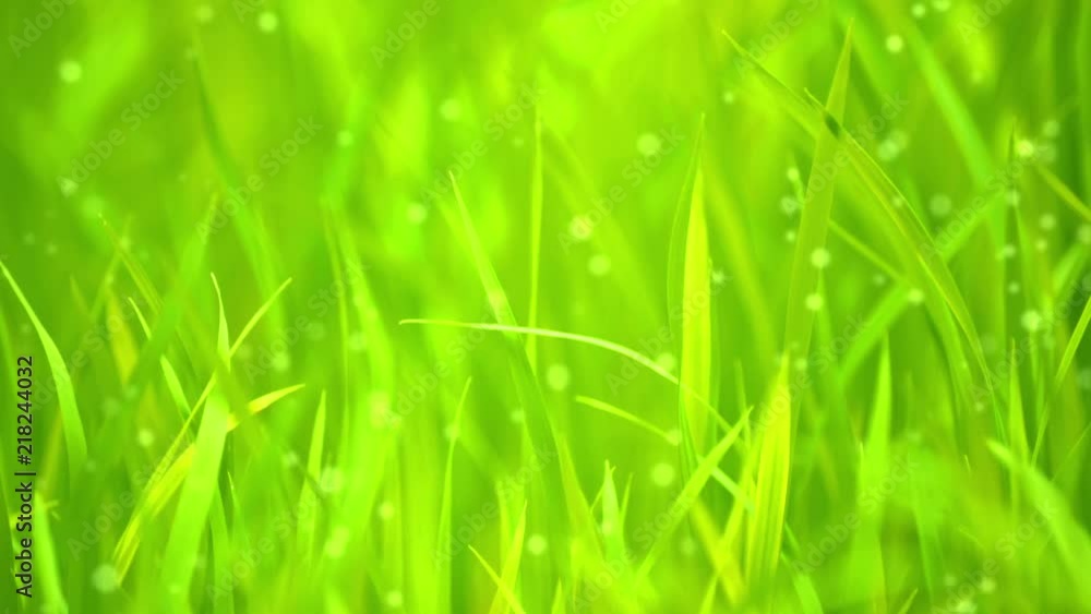 Abstract Grass Background With Moving Dust Particles Abstract Grass Background With Moving Dust Particles