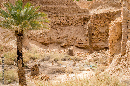 Desert of figuig photo